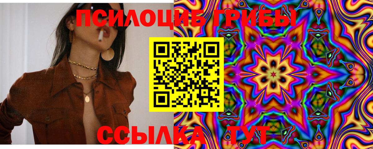 Псилоцибиновые грибы Cubensis Оренбург