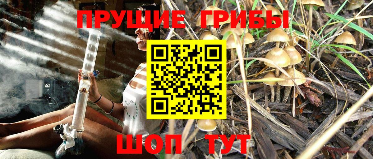 Псилоцибиновые грибы MAGIC MUSHROOMS  Псилоцибиновые грибы мицелий  Вход с VPN  Оренбург 